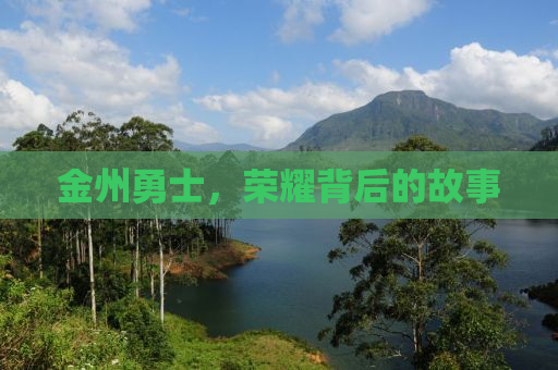 金州勇士，荣耀背后的故事