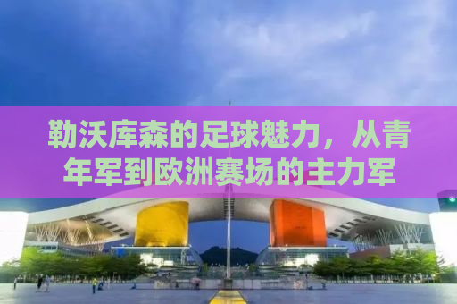 勒沃库森的足球魅力，从青年军到欧洲赛场的主力军