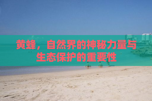 黄蜂，自然界的神秘力量与生态保护的重要性