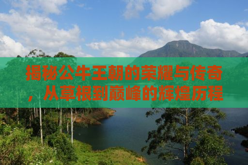 揭秘公牛王朝的荣耀与传奇，从草根到巅峰的辉煌历程
