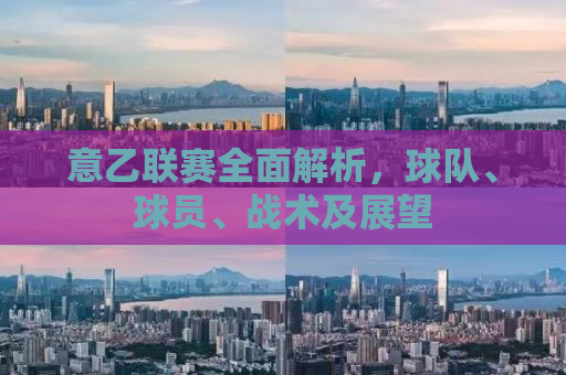 意乙联赛全面解析，球队、球员、战术及展望