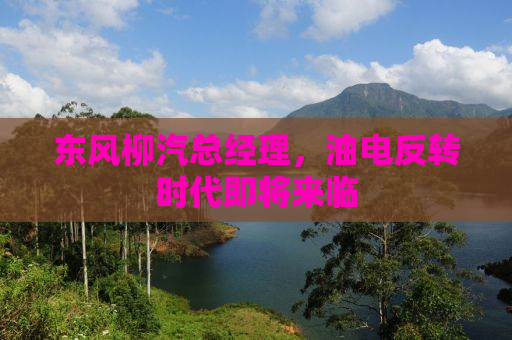 东风柳汽总经理，油电反转时代即将来临