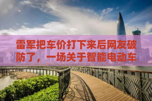 雷军把车价打下来后网友破防了，一场关于智能电动车的狂欢与反思