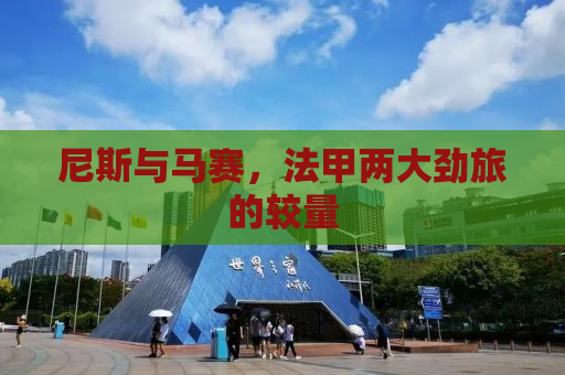 尼斯与马赛，法甲两大劲旅的较量