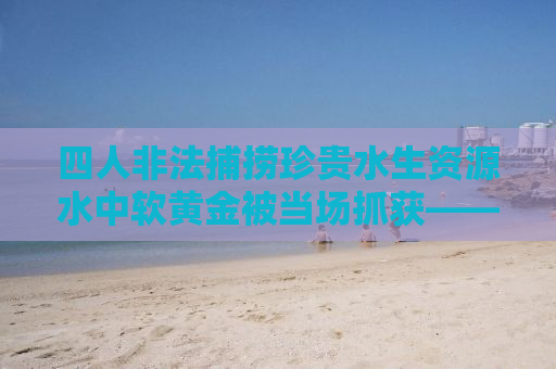 四人非法捕捞珍贵水生资源水中软黄金被当场抓获——法律的铁拳不容侵犯