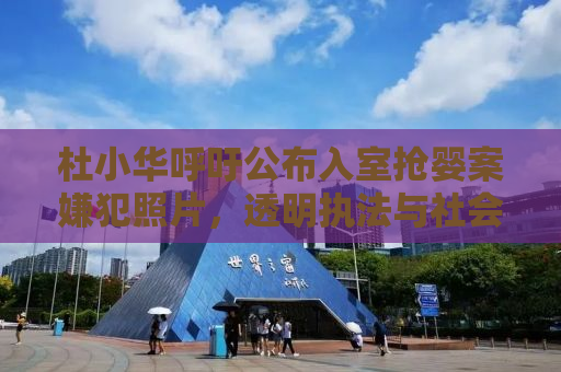 杜小华呼吁公布入室抢婴案嫌犯照片，透明执法与社会责任并重