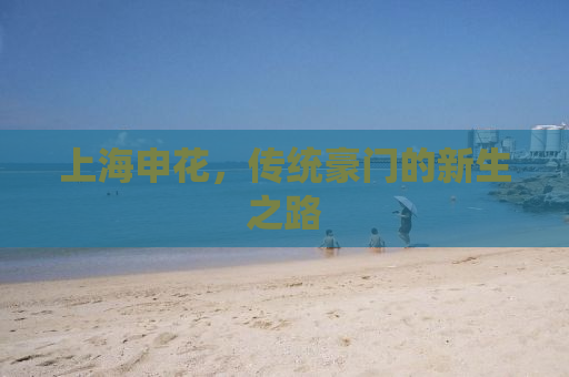 上海申花，传统豪门的新生之路