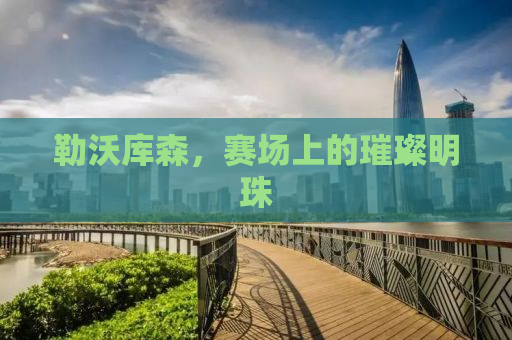 勒沃库森，赛场上的璀璨明珠