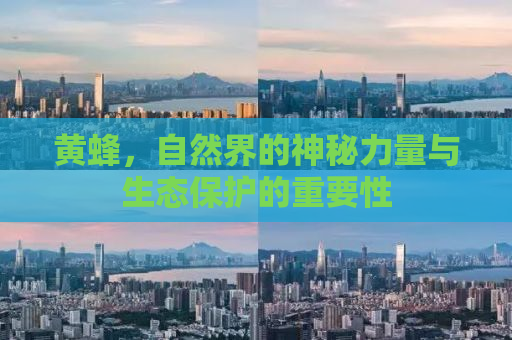 黄蜂，自然界的神秘力量与生态保护的重要性