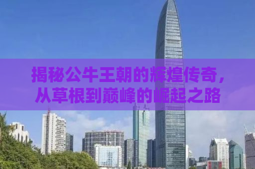 揭秘公牛王朝的辉煌传奇，从草根到巅峰的崛起之路
