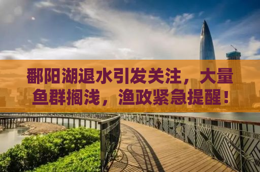 鄱阳湖退水引发关注，大量鱼群搁浅，渔政紧急提醒！