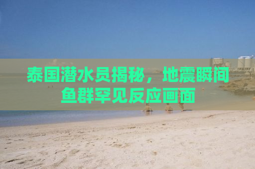 泰国潜水员揭秘，地震瞬间鱼群罕见反应画面
