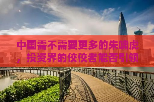 中国需不需要更多的朱啸虎，投资界的佼佼者能否引领创新与发展的新浪潮？
