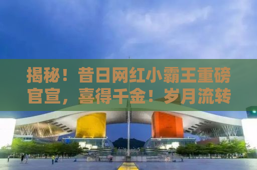 揭秘！昔日网红小霸王重磅官宣，喜得千金！岁月流转下的励志人生故事