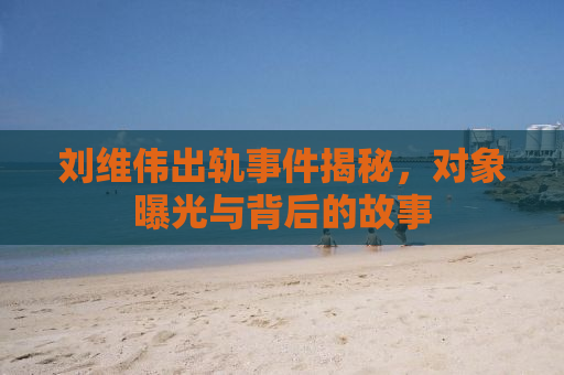 刘维伟出轨事件揭秘，对象曝光与背后的故事