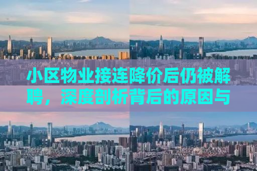 小区物业接连降价后仍被解聘，深度剖析背后的原因与应对之道