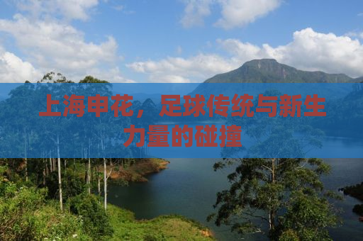 上海申花，足球传统与新生力量的碰撞