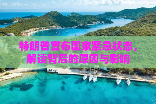特朗普宣布国家紧急状态，解读背后的原因与影响