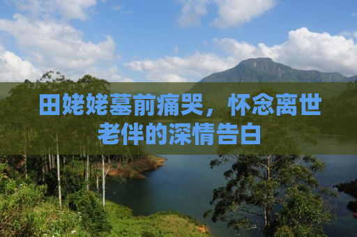田姥姥墓前痛哭，怀念离世老伴的深情告白