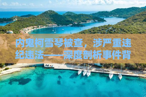 内鬼柯雪琴被查，涉严重违纪违法——深度剖析事件背后真相