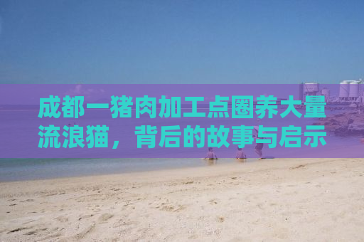 成都一猪肉加工点圈养大量流浪猫，背后的故事与启示
