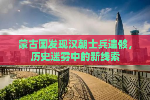 蒙古国发现汉朝士兵遗骸，历史迷雾中的新线索