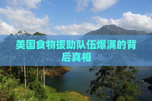 美国食物援助队伍爆满的背后真相