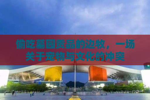 偷吃墓园贡品的边牧，一场关于宠物与文化的冲突