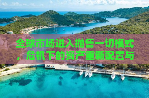 全球市场进入抛售一切模式，危机下的资产重新配置与经济展望