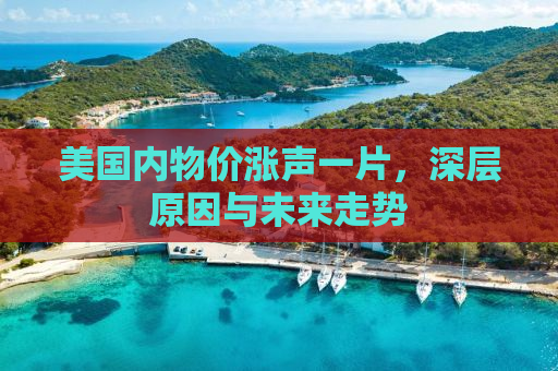 美国内物价涨声一片，深层原因与未来走势