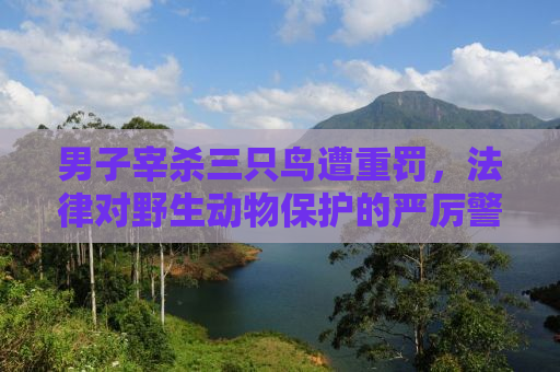 男子宰杀三只鸟遭重罚，法律对野生动物保护的严厉警示