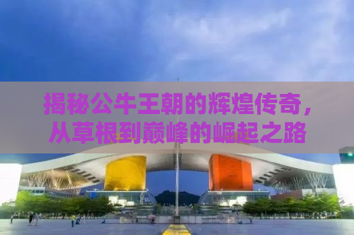 揭秘公牛王朝的辉煌传奇，从草根到巅峰的崛起之路