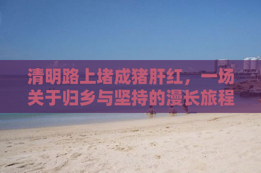清明路上堵成猪肝红，一场关于归乡与坚持的漫长旅程