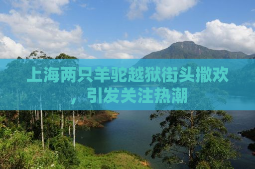 上海两只羊驼越狱街头撒欢，引发关注热潮