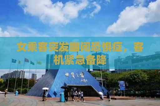 女乘客突发幽闭恐惧症，客机紧急备降