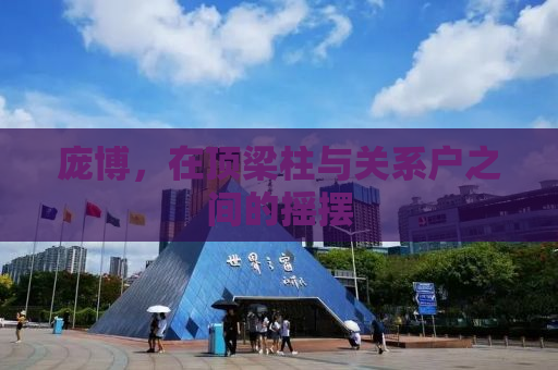 庞博，在顶梁柱与关系户之间的摇摆