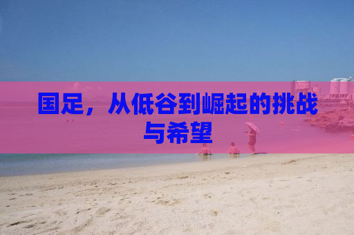 国足，从低谷到崛起的挑战与希望