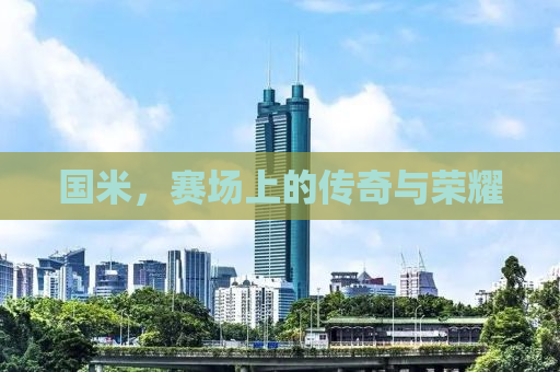 国米，赛场上的传奇与荣耀
