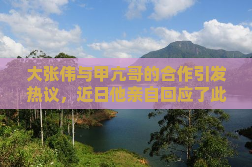 大张伟与甲亢哥的合作引发热议，近日他亲自回应了此事