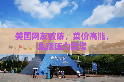 美国网友破防，菜价高涨，生活压力倍增