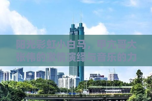阳光彩虹小白马，甲亢哥大张伟的激情演绎与音乐的力量