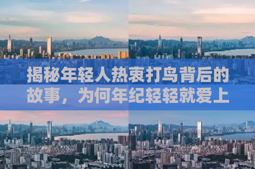 揭秘年轻人热衷打鸟背后的故事，为何年纪轻轻就爱上这一爱好？