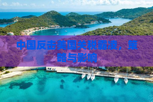 中国反击美国关税霸凌，策略与影响