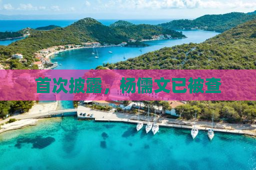 首次披露，杨儒文已被查