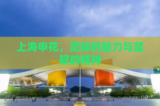 上海申花，足球的魅力与坚韧的精神