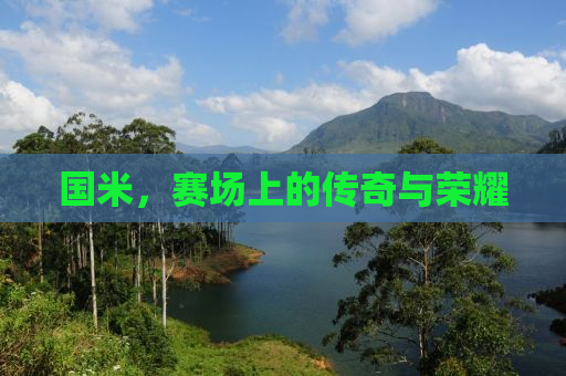 国米，赛场上的传奇与荣耀