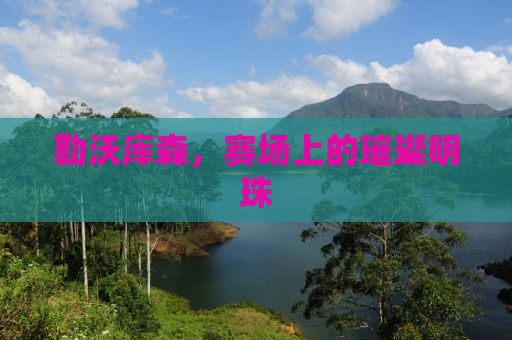 勒沃库森，赛场上的璀璨明珠
