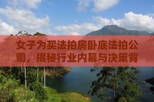 女子为买法拍房卧底法拍公司，揭秘行业内幕与决策背后的故事