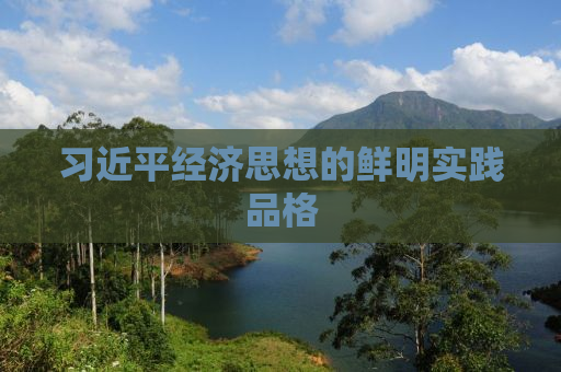习近平经济思想的鲜明实践品格