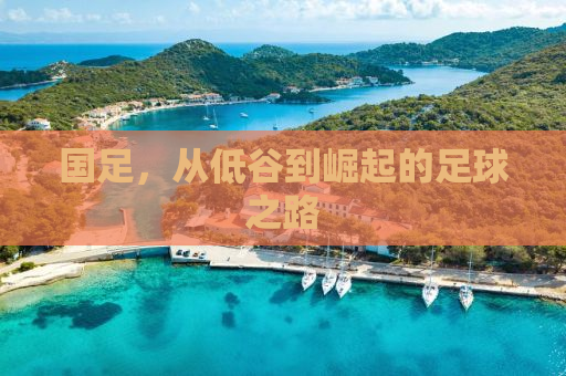 国足，从低谷到崛起的足球之路